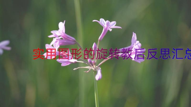 实用图形的旋转教后反思（汇总15篇）