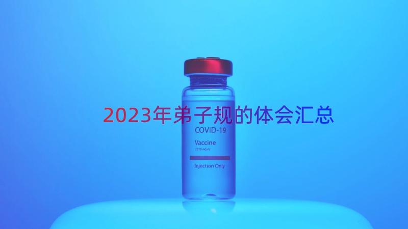 2023年弟子规的体会（汇总13篇）