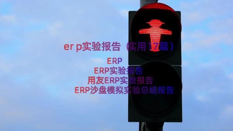 erp实验报告（实用17篇）