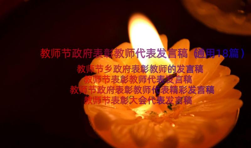 教师节政府表彰教师代表发言稿（通用18篇）