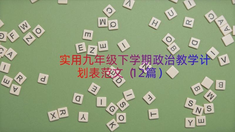 实用九年级下学期政治教学计划表范文（12篇）