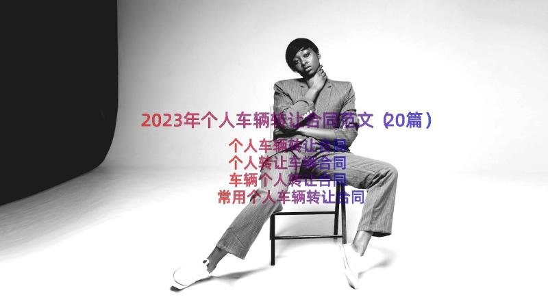 2023年个人车辆转让合同范文（20篇）