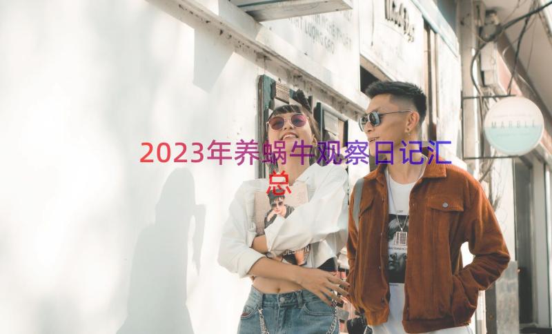 2023年养蜗牛观察日记（汇总17篇）