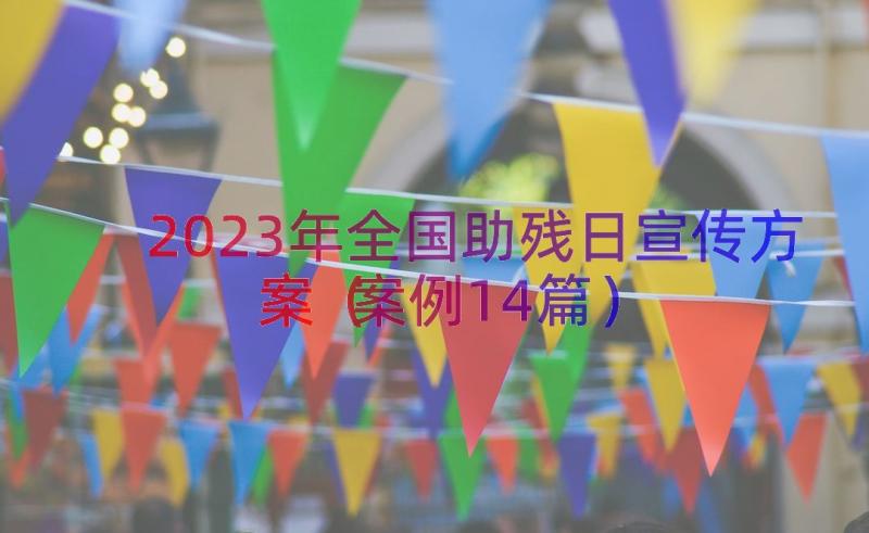 2023年全国助残日宣传方案（案例14篇）