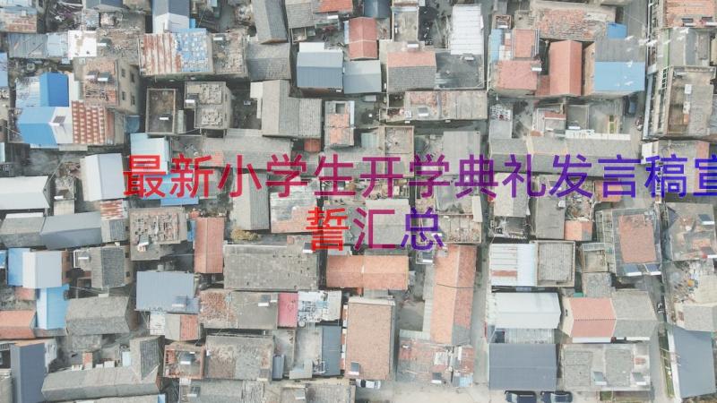 最新小学生开学典礼发言稿宣誓（汇总17篇）