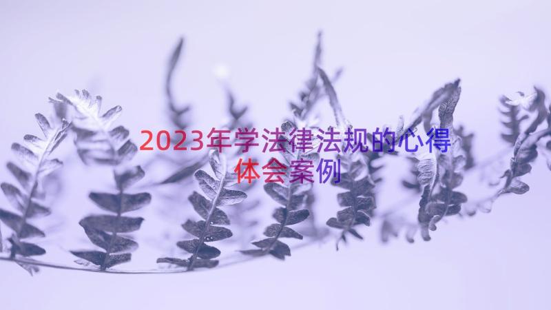 2023年学法律法规的心得体会（案例17篇）