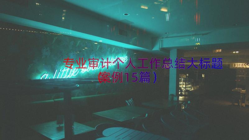 专业审计个人工作总结大标题（案例15篇）