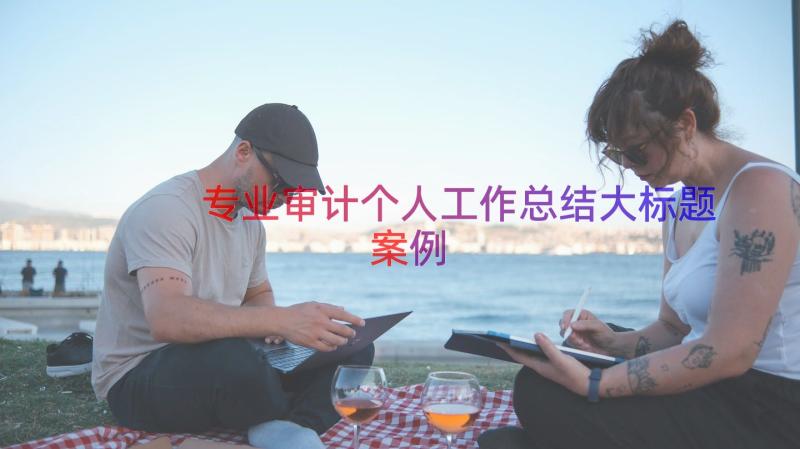 专业审计个人工作总结大标题（案例18篇）