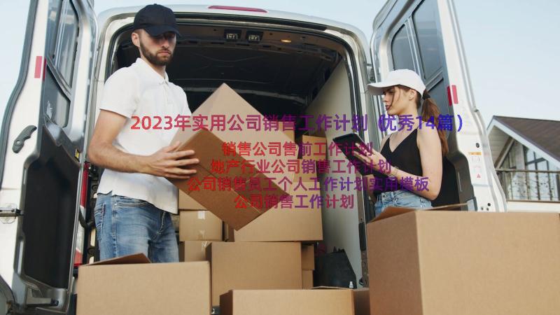 2023年实用公司销售工作计划（优秀14篇）