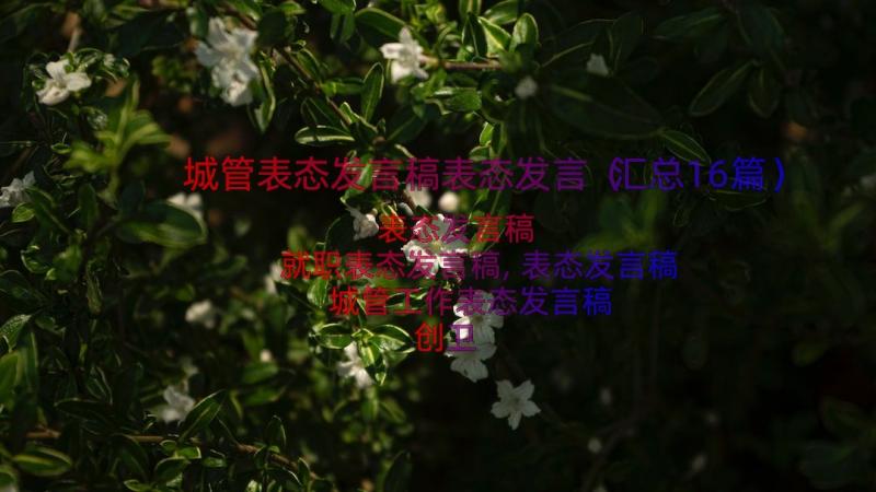 城管表态发言稿表态发言（汇总16篇）