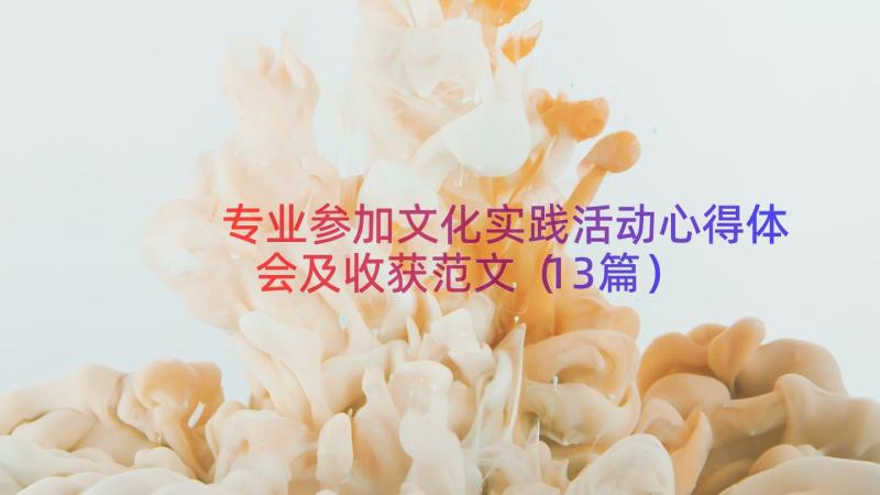 专业参加文化实践活动心得体会及收获范文（13篇）