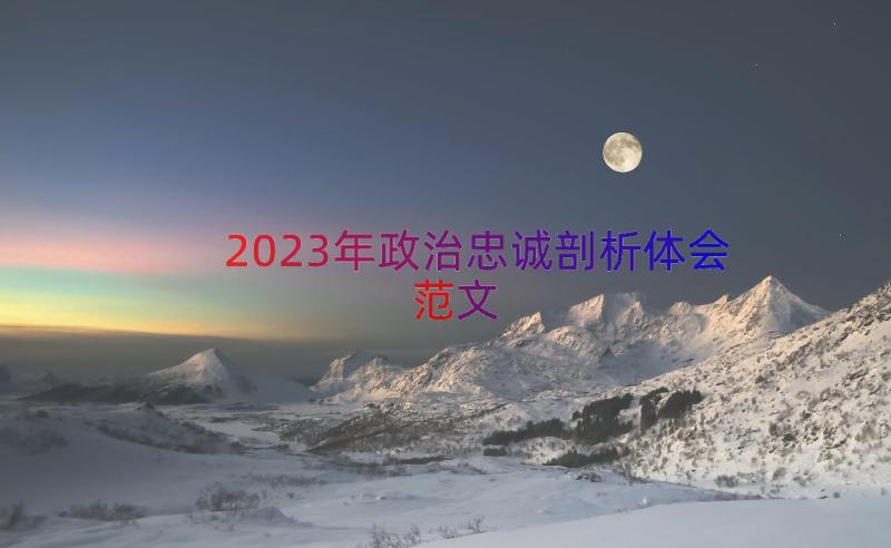 2023年政治忠诚剖析体会范文（15篇）