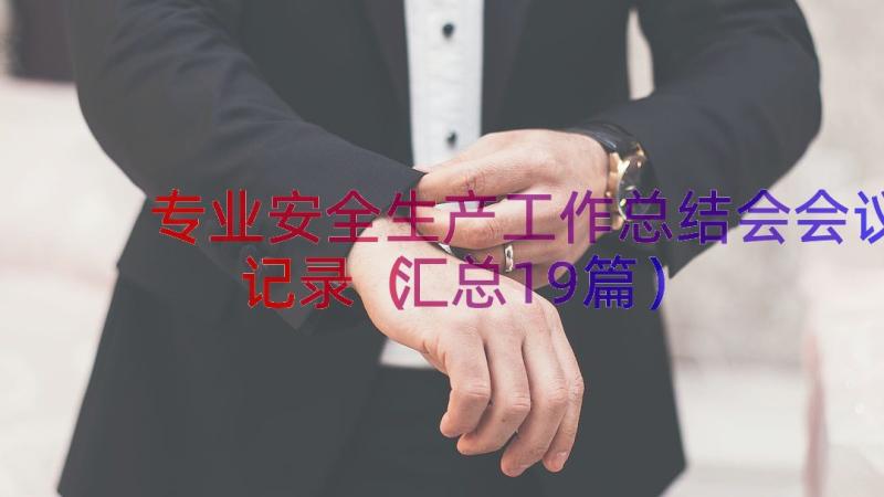 专业安全生产工作总结会会议记录（汇总19篇）