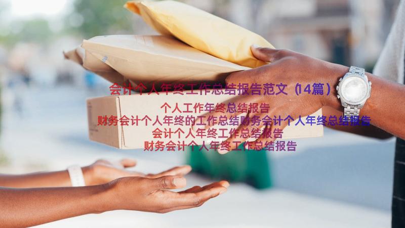 会计个人年终工作总结报告范文（14篇）