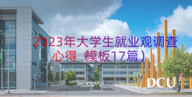 2023年大学生就业观调查心得（模板17篇）