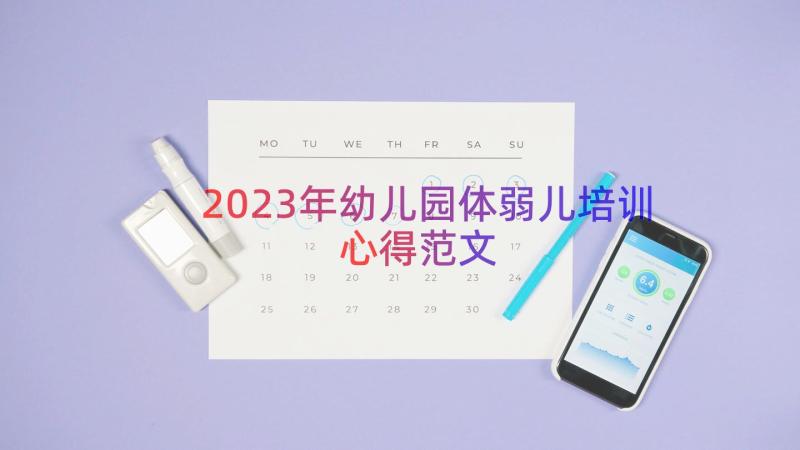 2023年幼儿园体弱儿培训心得范文（13篇）