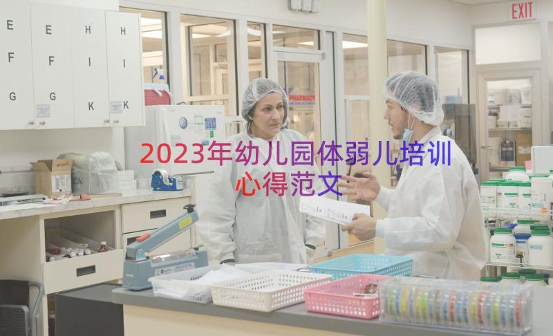 2023年幼儿园体弱儿培训心得范文（14篇）