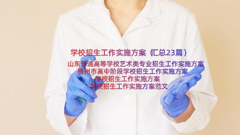 学校招生工作实施方案（汇总23篇）