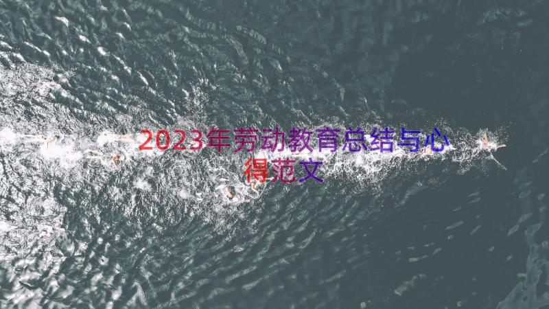 2023年劳动教育总结与心得范文（16篇）