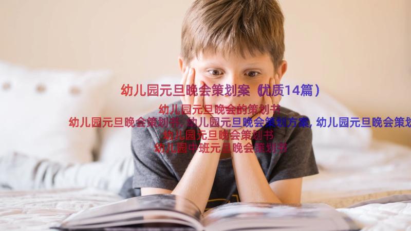 幼儿园元旦晚会策划案（优质14篇）