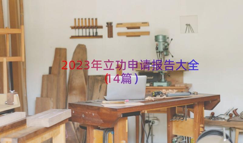 2023年立功申请报告大全（14篇）