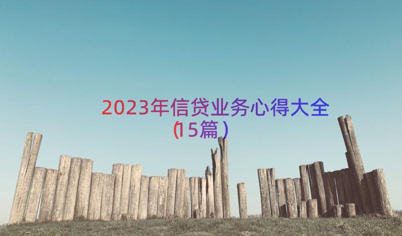 2023年信贷业务心得大全（15篇）