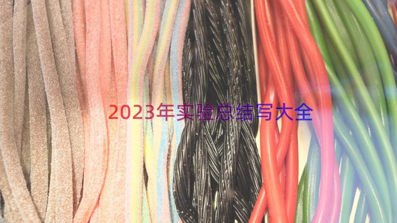 2023年实验总结写大全（16篇）