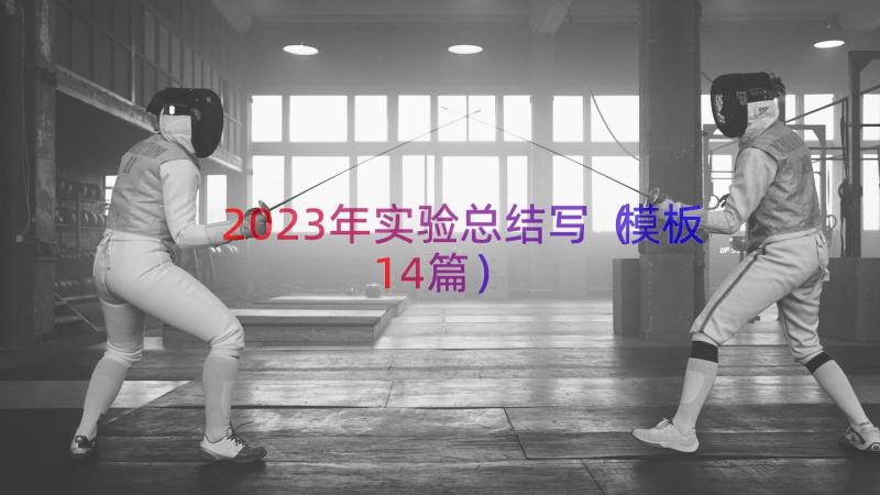 2023年实验总结写模板