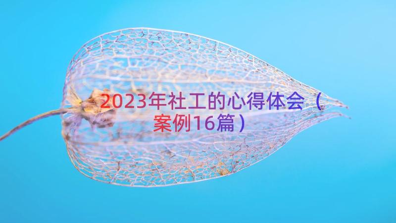 2023年社工的心得体会（案例16篇）