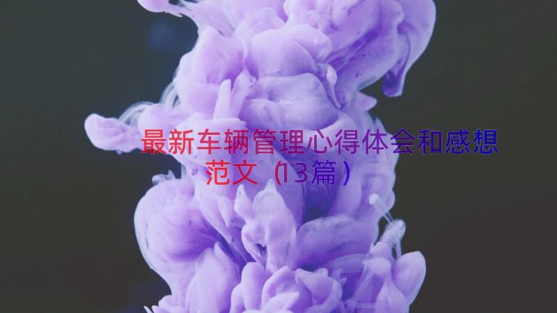 最新车辆管理心得体会和感想范文（13篇）