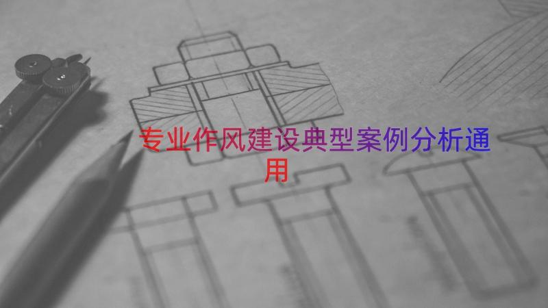 专业作风建设典型案例分析（通用14篇）