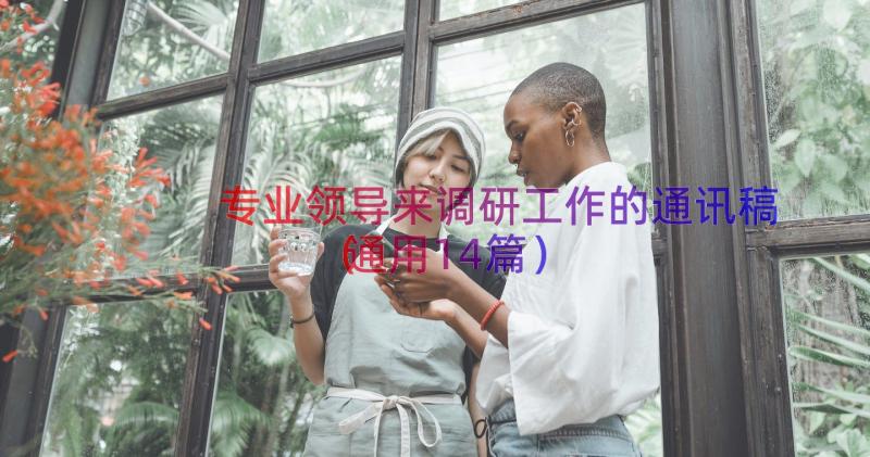 专业领导来调研工作的通讯稿（通用14篇）