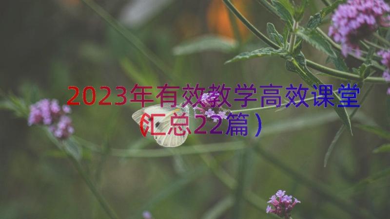 2023年有效教学高效课堂汇总