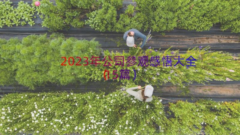 2023年公司参观感悟大全（15篇）