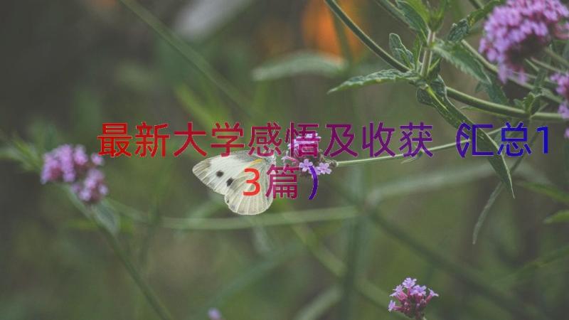 最新大学感悟及收获（汇总13篇）