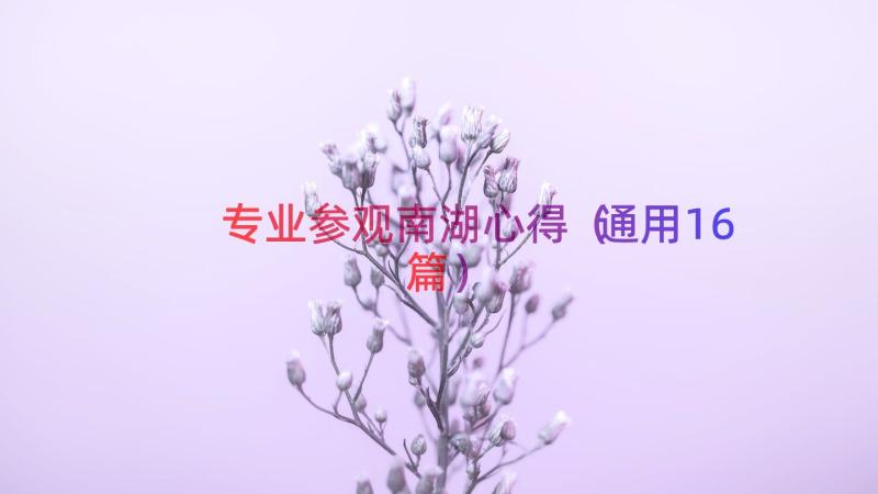 专业参观南湖心得通用