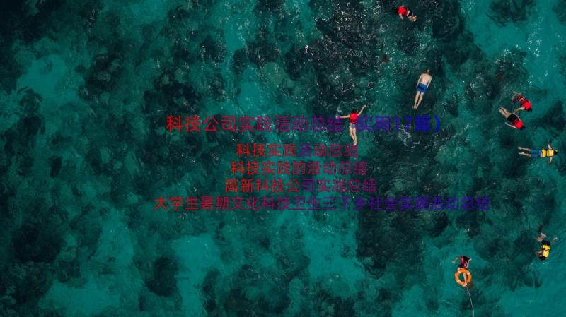 科技公司实践活动总结（实用17篇）