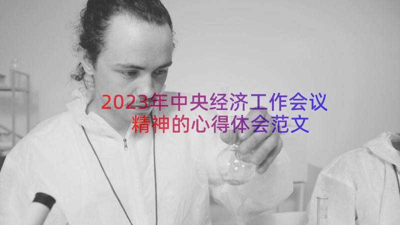 2023年中央经济工作会议精神的心得体会范文（17篇）