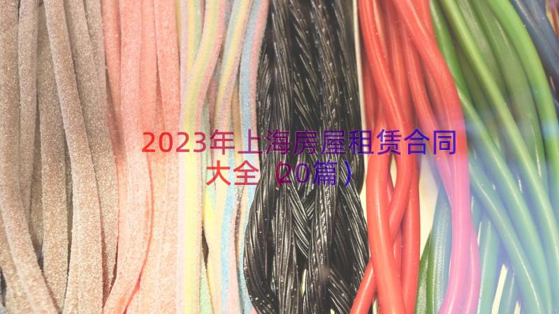 2023年上海房屋租赁合同大全（20篇）