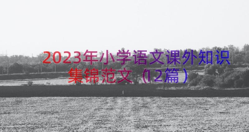 2023年小学语文课外知识集锦范文（12篇）