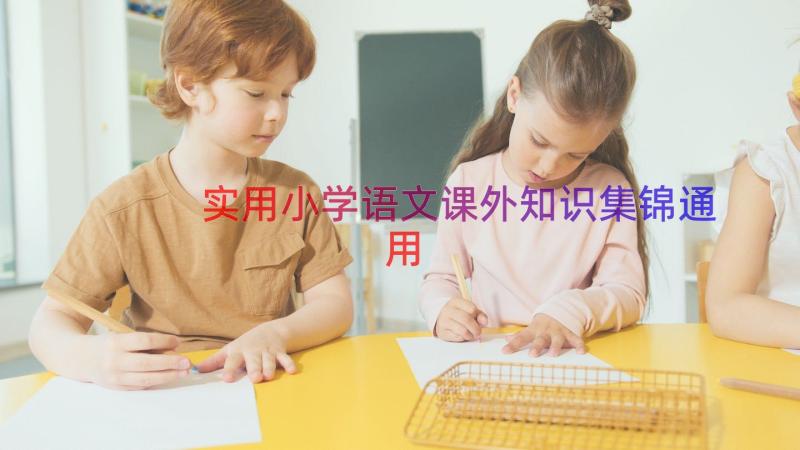 实用小学语文课外知识集锦（通用13篇）