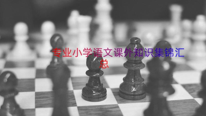 专业小学语文课外知识集锦（汇总14篇）