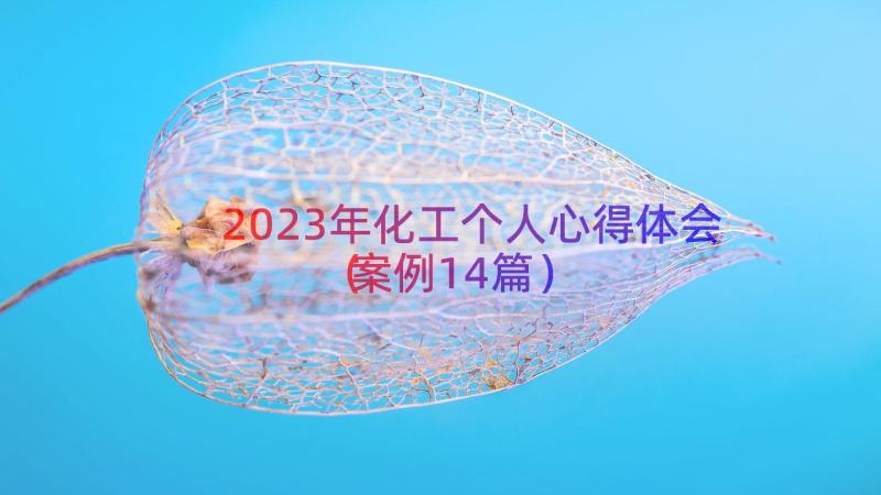 2023年化工个人心得体会（案例14篇）