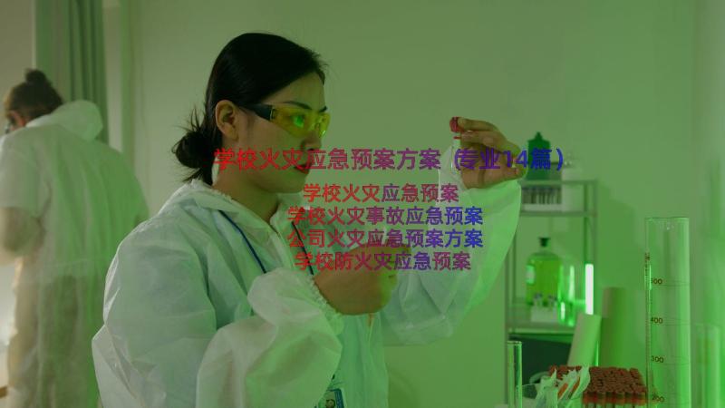 学校火灾应急预案方案（专业14篇）