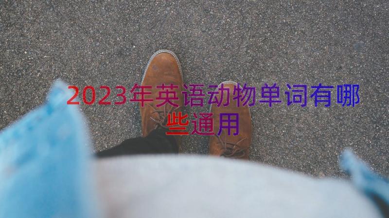 2023年英语动物单词有哪些（通用19篇）