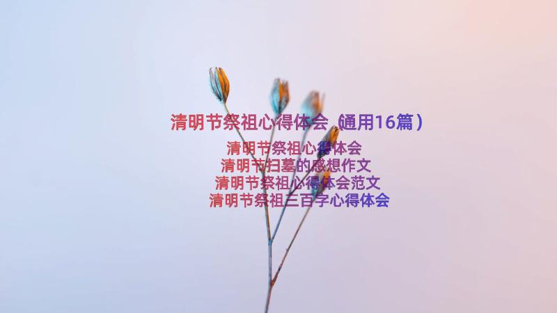 清明节祭祖心得体会（通用16篇）