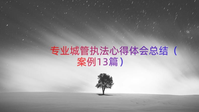 专业城管执法心得体会总结（案例13篇）