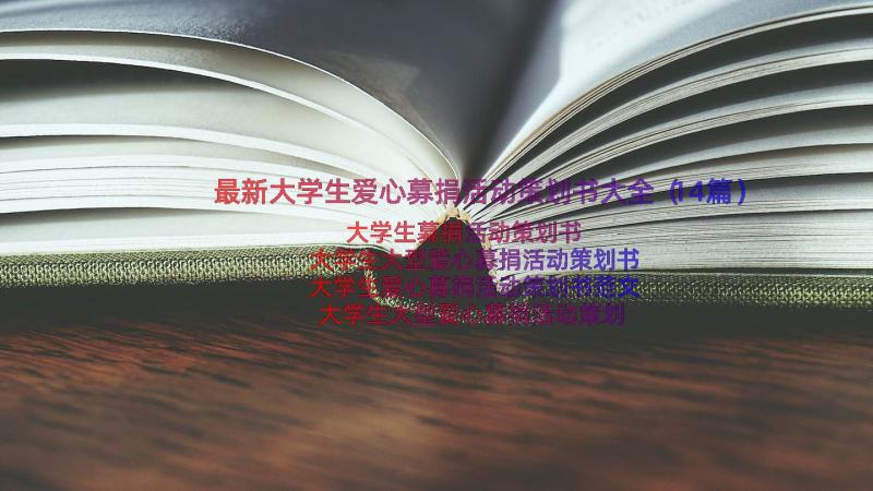 最新大学生爱心募捐活动策划书大全（14篇）