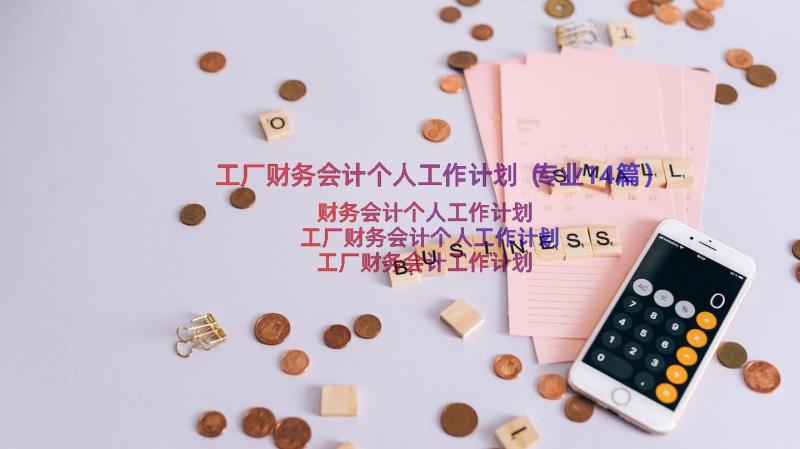 工厂财务会计个人工作计划（专业14篇）