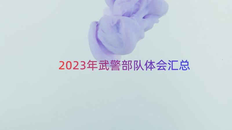 2023年武警部队体会（汇总16篇）